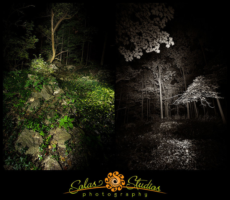 Spooky Woods Camillus NY