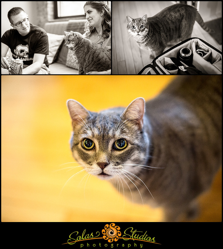Engagement Photos with Cat Syracuse